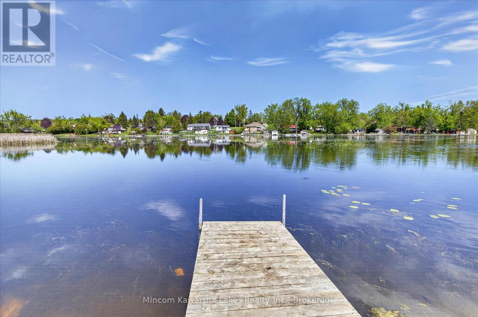 46 Lawrence Street N, Kawartha Lakes (Emily), Ontario  K9J 6X3 - Photo 48 - X13174362