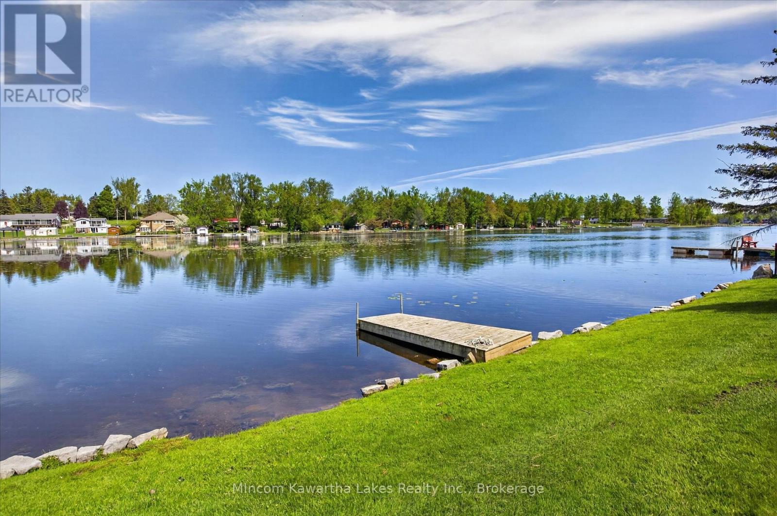 46 Lawrence Street N, Kawartha Lakes (Emily), Ontario  K9J 6X3 - Photo 49 - X13174362