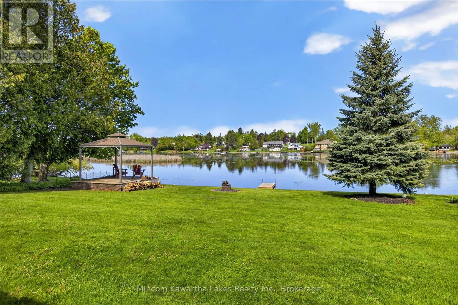 46 Lawrence Street N, Kawartha Lakes (Emily), Ontario  K9J 6X3 - Photo 50 - X13174362