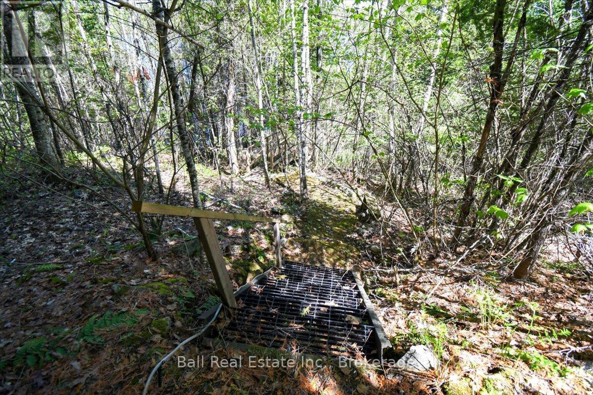 134 Millionaires Walk, Hastings Highlands (Herschel Ward), Ontario  K0L 1C0 - Photo 41 - X13174756