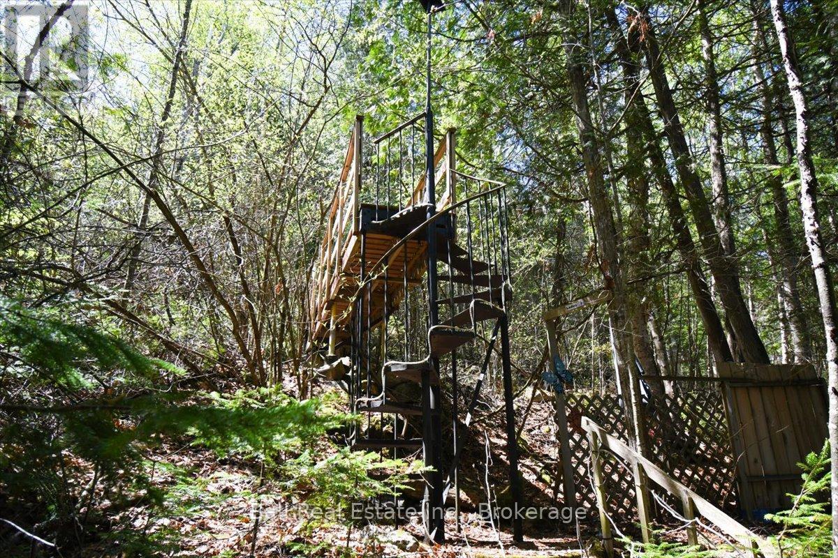 134 Millionaires Walk, Hastings Highlands (Herschel Ward), Ontario  K0L 1C0 - Photo 44 - X13174756
