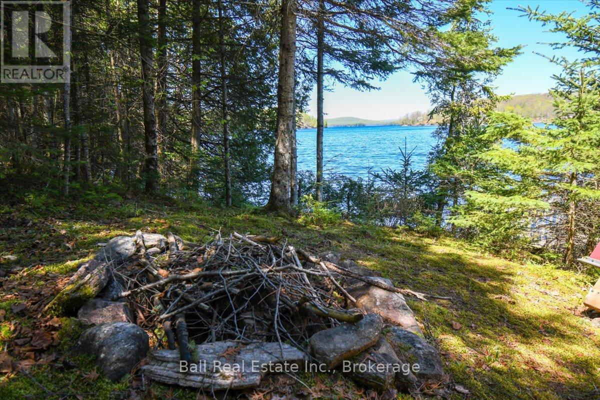 134 Millionaires Walk, Hastings Highlands (Herschel Ward), Ontario  K0L 1C0 - Photo 45 - X13174756