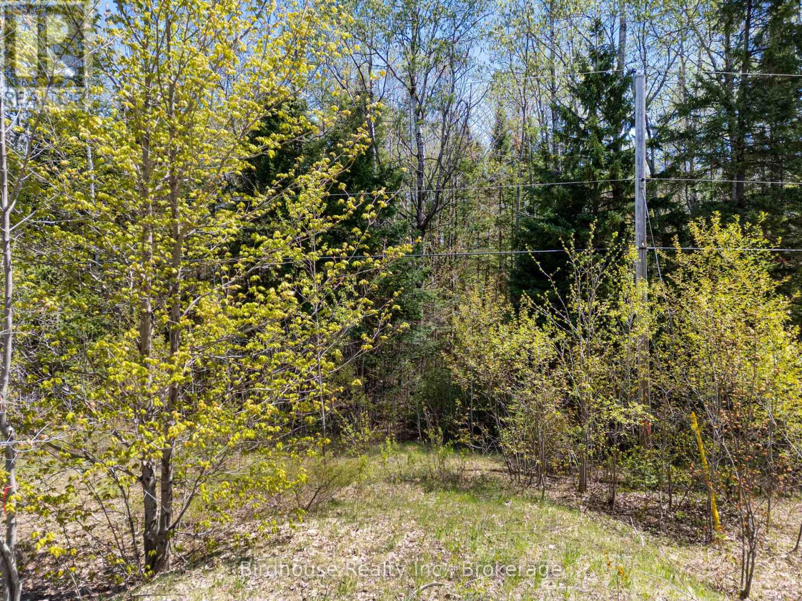Pt Lt 26 Con 17 Cardiff Hwy #648 (Loop) Road, Highlands East (Cardiff Ward), Ontario  K0L 2A0 - Photo 13 - X13175262
