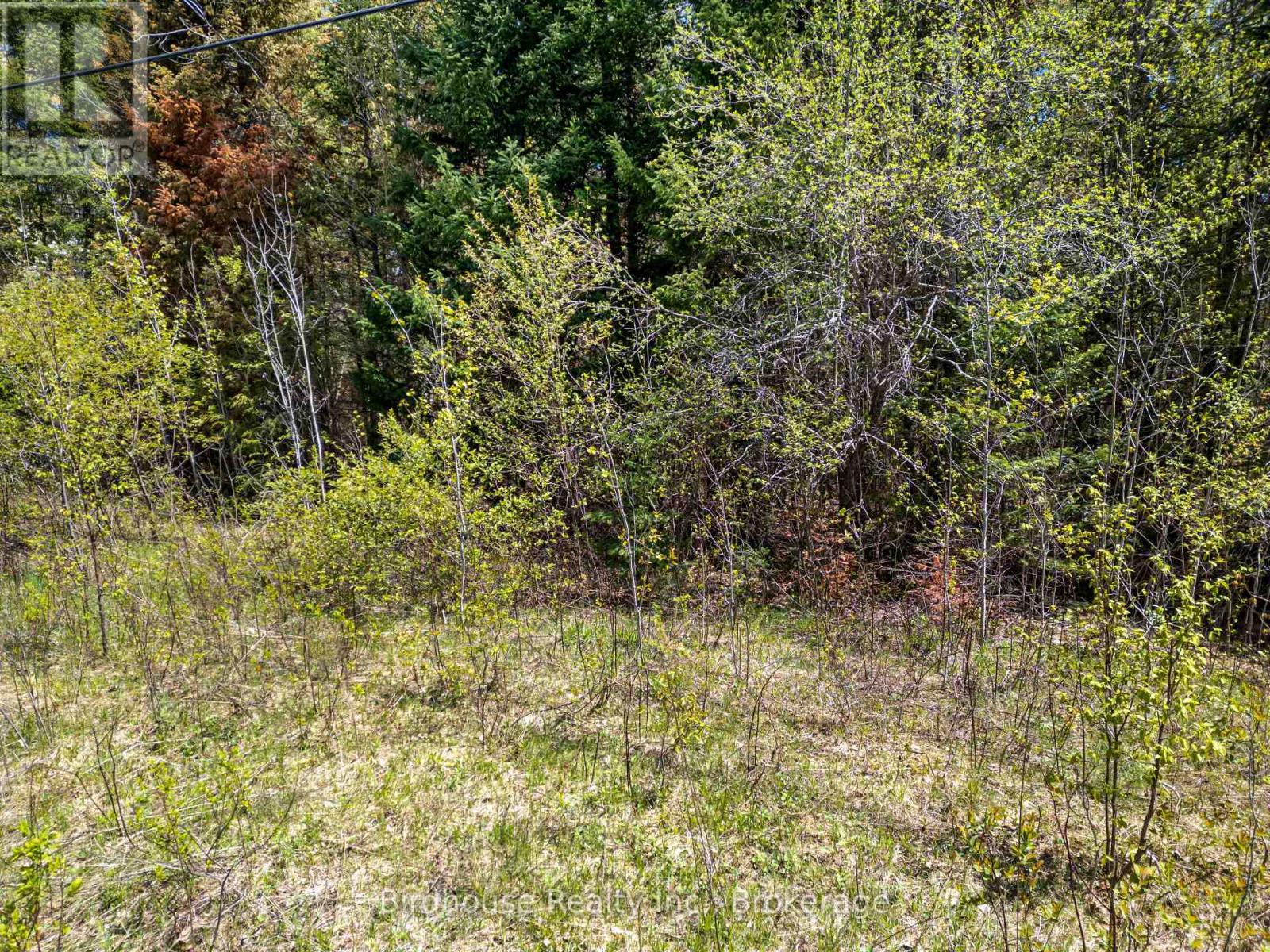 Pt Lt 26 Con 17 Cardiff Hwy #648 (Loop) Road, Highlands East (Cardiff Ward), Ontario  K0L 2A0 - Photo 14 - X13175262