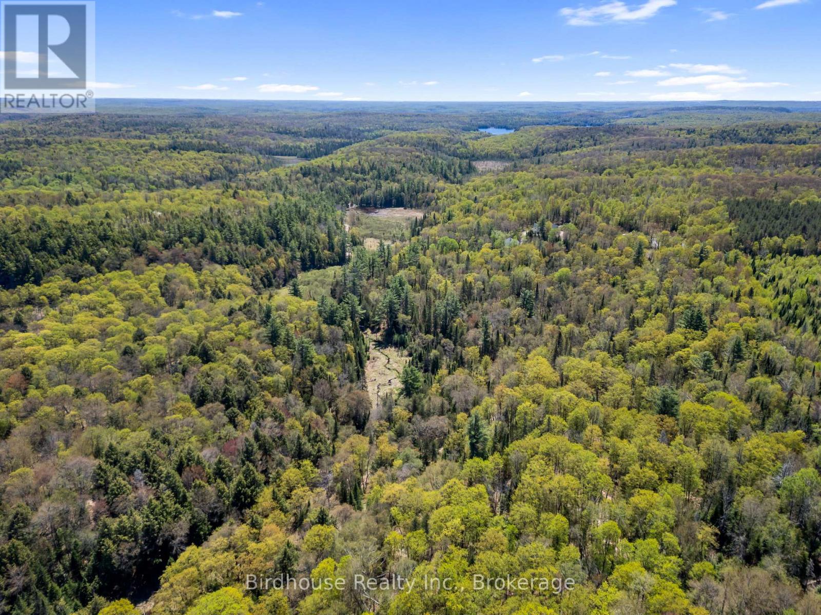 Pt Lt 26 Con 17 Cardiff Hwy #648 (Loop) Road, Highlands East (Cardiff Ward), Ontario  K0L 2A0 - Photo 5 - X13175262
