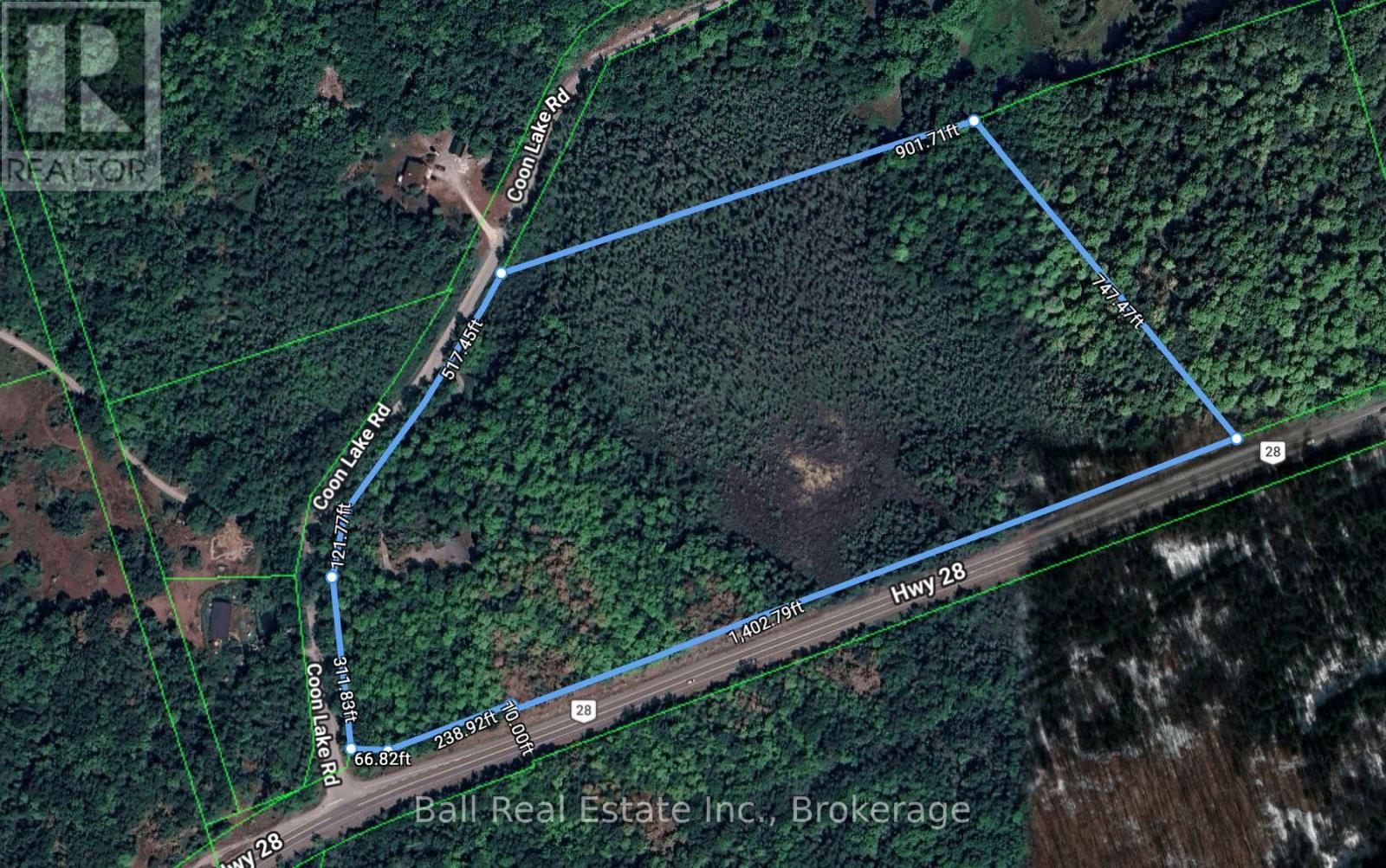 53 Coon Lake Road, North Kawartha, Ontario  K0L 2H0 - Photo 3 - X13175568