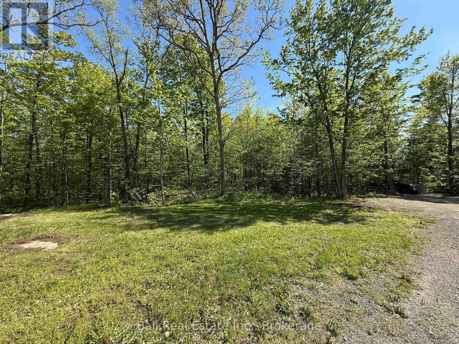 53 Coon Lake Road, North Kawartha, Ontario  K0L 2H0 - Photo 43 - X13175568