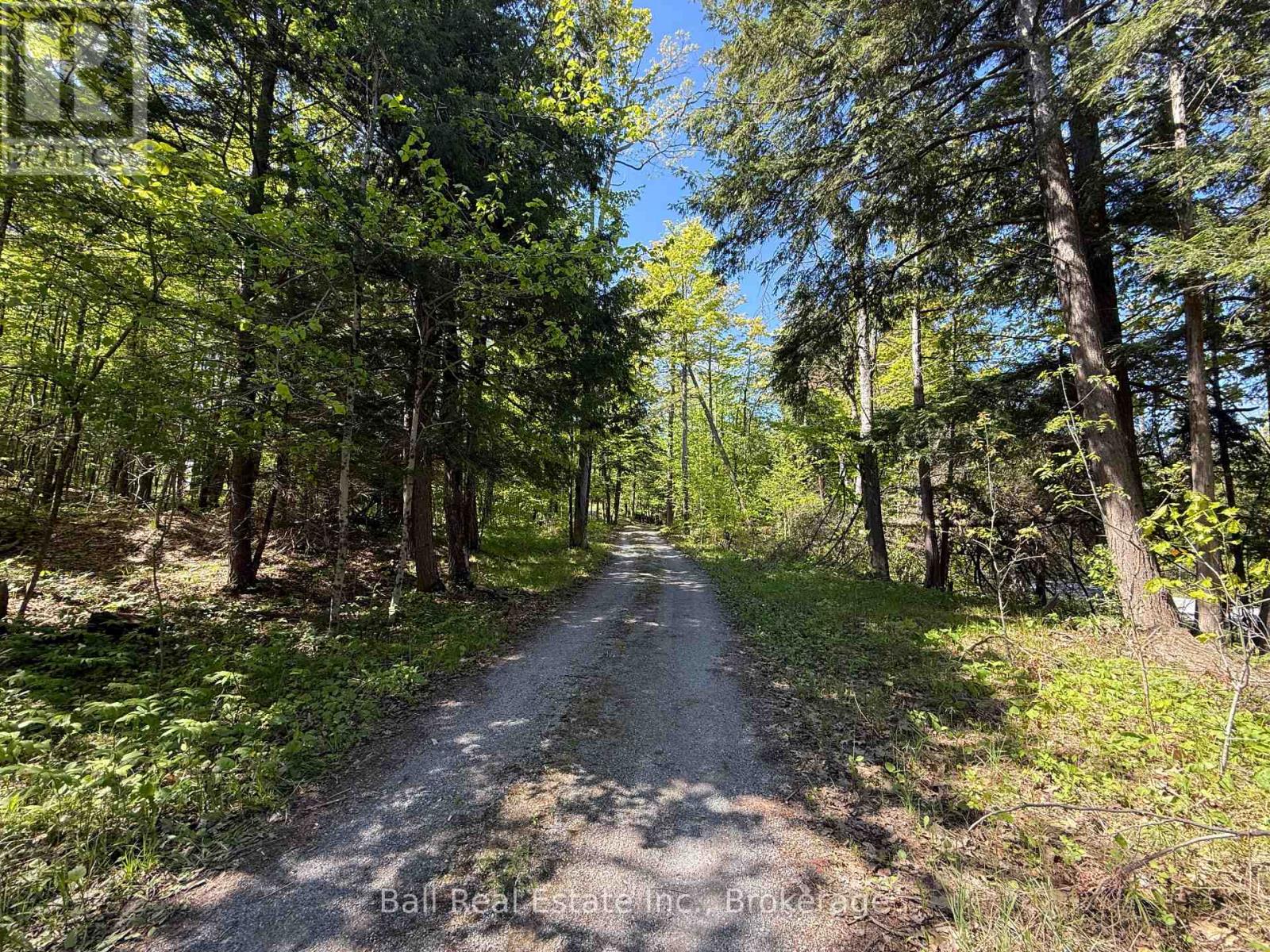 53 Coon Lake Road, North Kawartha, Ontario  K0L 2H0 - Photo 44 - X13175568