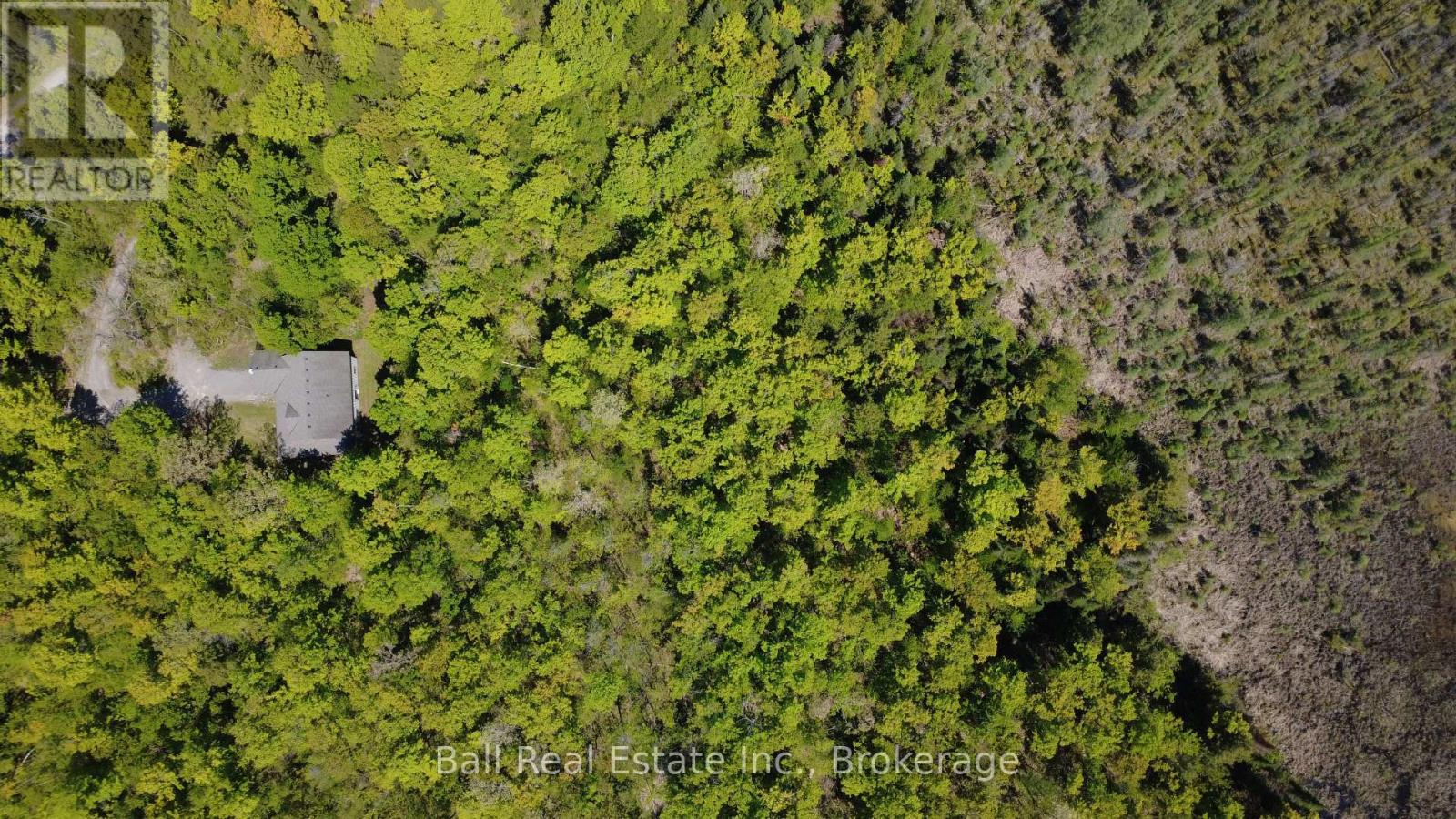 53 Coon Lake Road, North Kawartha, Ontario  K0L 2H0 - Photo 46 - X13175568