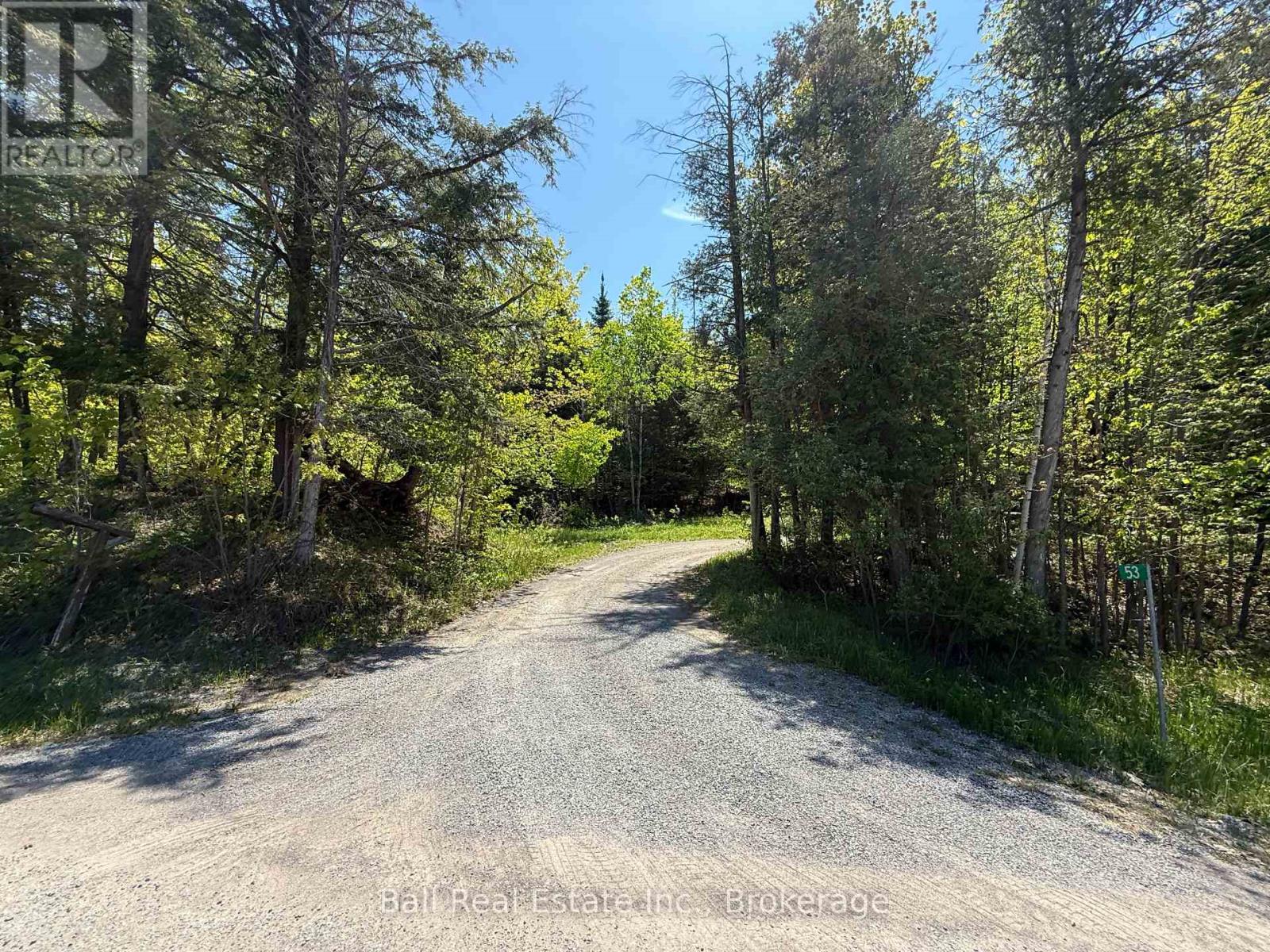 53 Coon Lake Road, North Kawartha, Ontario  K0L 2H0 - Photo 7 - X13175568