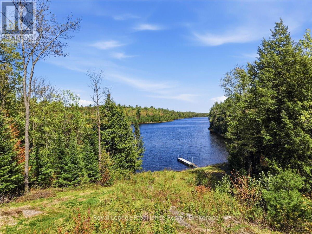 0 Fraser Lake Lane, Tudor And Cashel (Cashel Ward), Ontario  K0L 1W0 - Photo 21 - X13191872