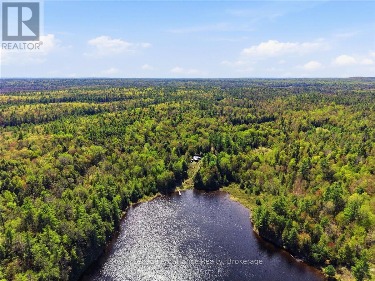 0 Fraser Lake Lane, Tudor And Cashel (Cashel Ward), Ontario  K0L 1W0 - Photo 23 - X13191872