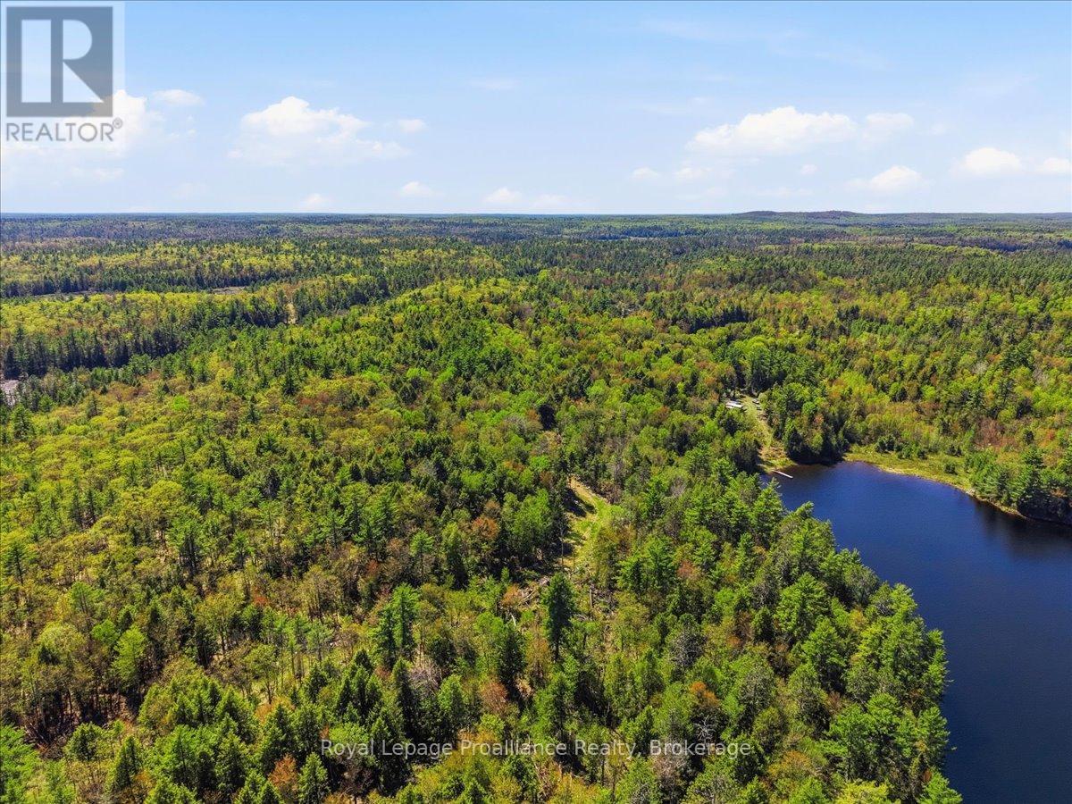 0 Fraser Lake Lane, Tudor And Cashel (Cashel Ward), Ontario  K0L 1W0 - Photo 25 - X13191872