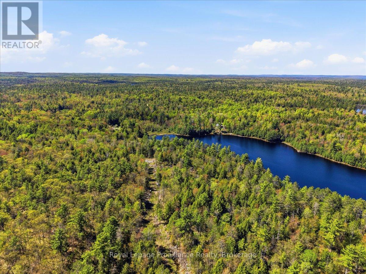 0 Fraser Lake Lane, Tudor And Cashel (Cashel Ward), Ontario  K0L 1W0 - Photo 26 - X13191872