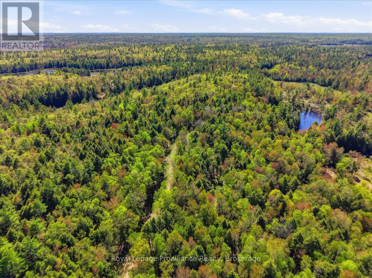 0 Fraser Lake Lane, Tudor And Cashel (Cashel Ward), Ontario  K0L 1W0 - Photo 29 - X13191872
