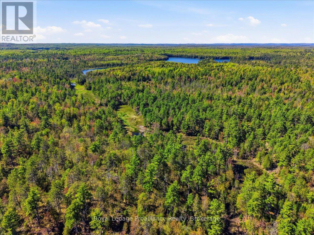 0 Fraser Lake Lane, Tudor And Cashel (Cashel Ward), Ontario  K0L 1W0 - Photo 34 - X13191872