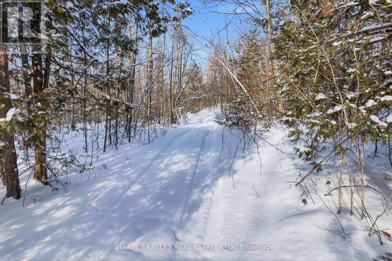 3020 Finley Road, Selwyn, Ontario  K0L 2H0 - Photo 11 - X13197956