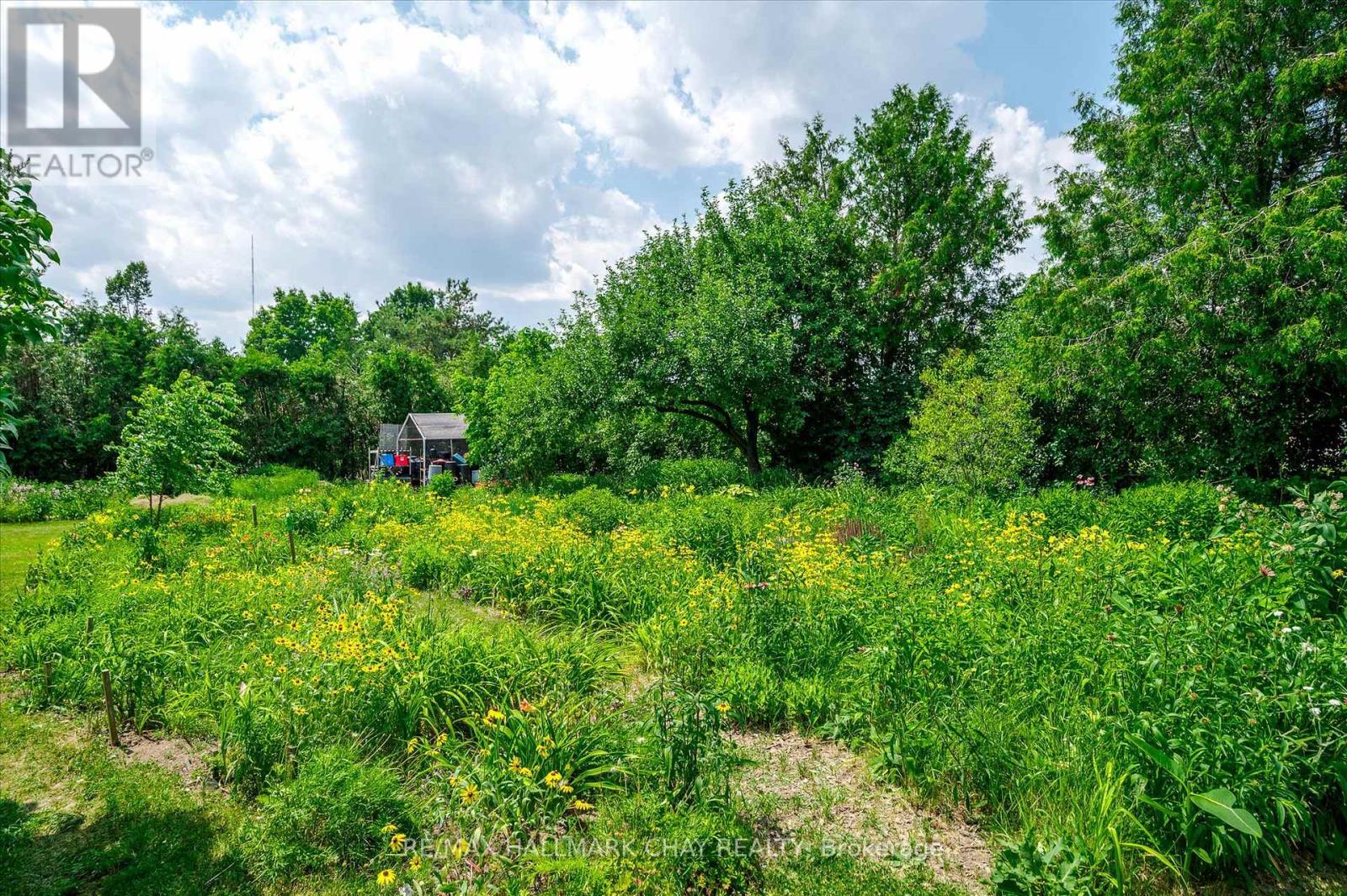 136 County 4 Road, Douro-Dummer, Ontario  K9L 1V6 - Photo 12 - X13207408