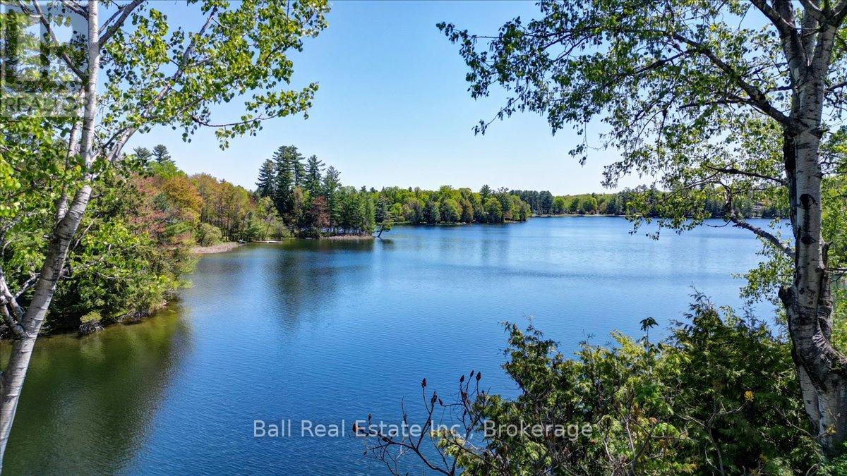 29 Brown Lane, Bancroft (Dungannon Ward), Ontario  K0L 1C0 - Photo 50 - X13208140
