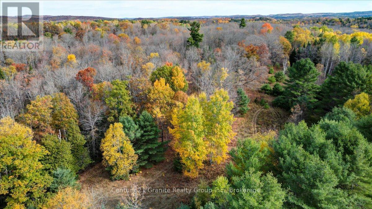 482 Old L'amable Road, Bancroft (Dungannon Ward), Ontario  K0L 1C0 - Photo 39 - X13209048