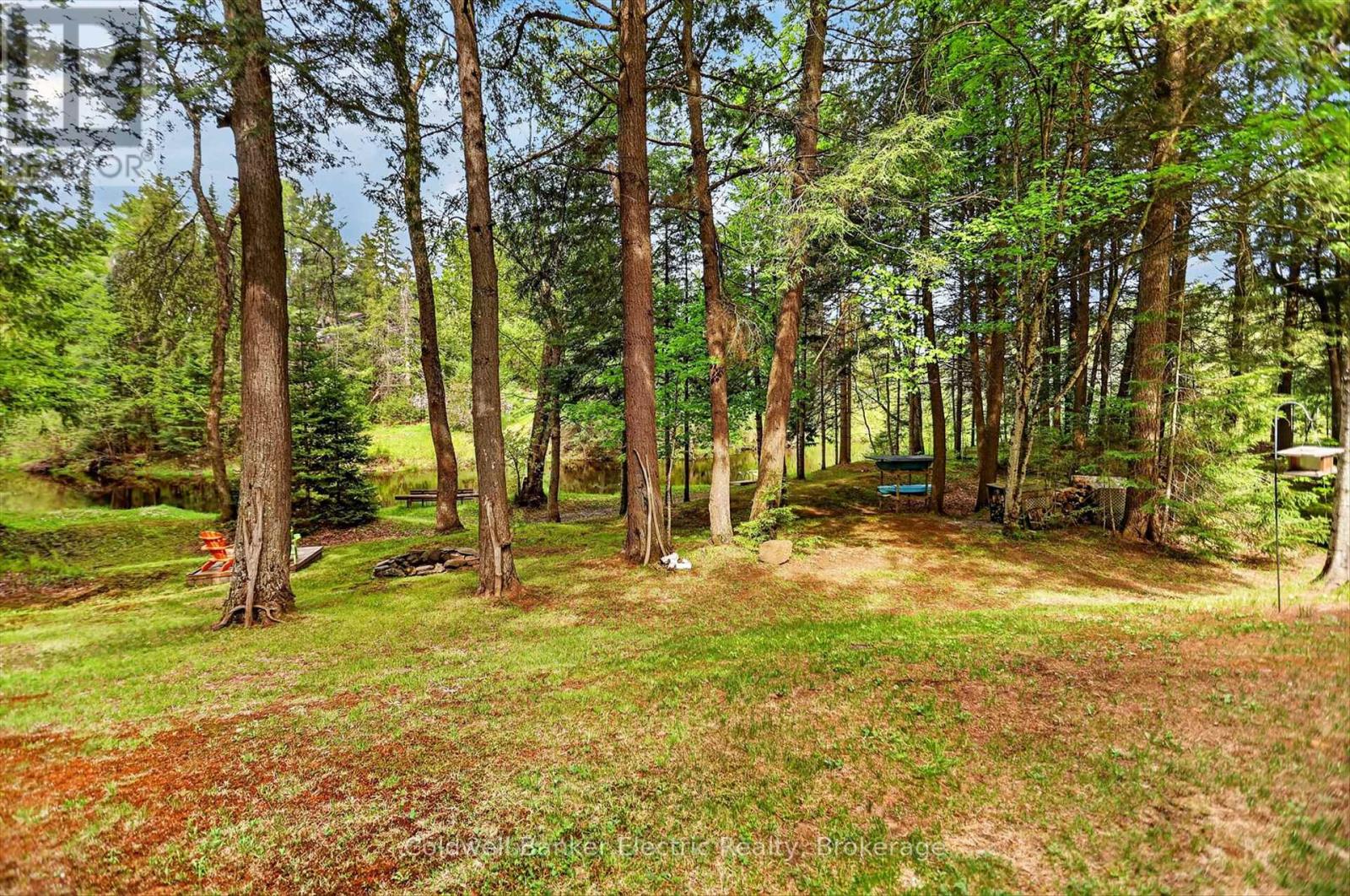 44 Lean Drive, North Kawartha, Ontario  K0L 1A0 - Photo 22 - X13211040