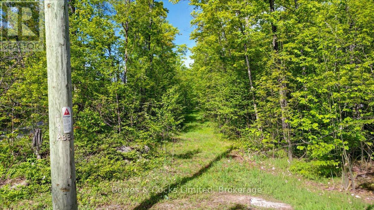 3463 County Road 44, Havelock-Belmont-Methuen (Belmont-Methuen), Ontario  K0L 1Z0 - Photo 2 - X13215344
