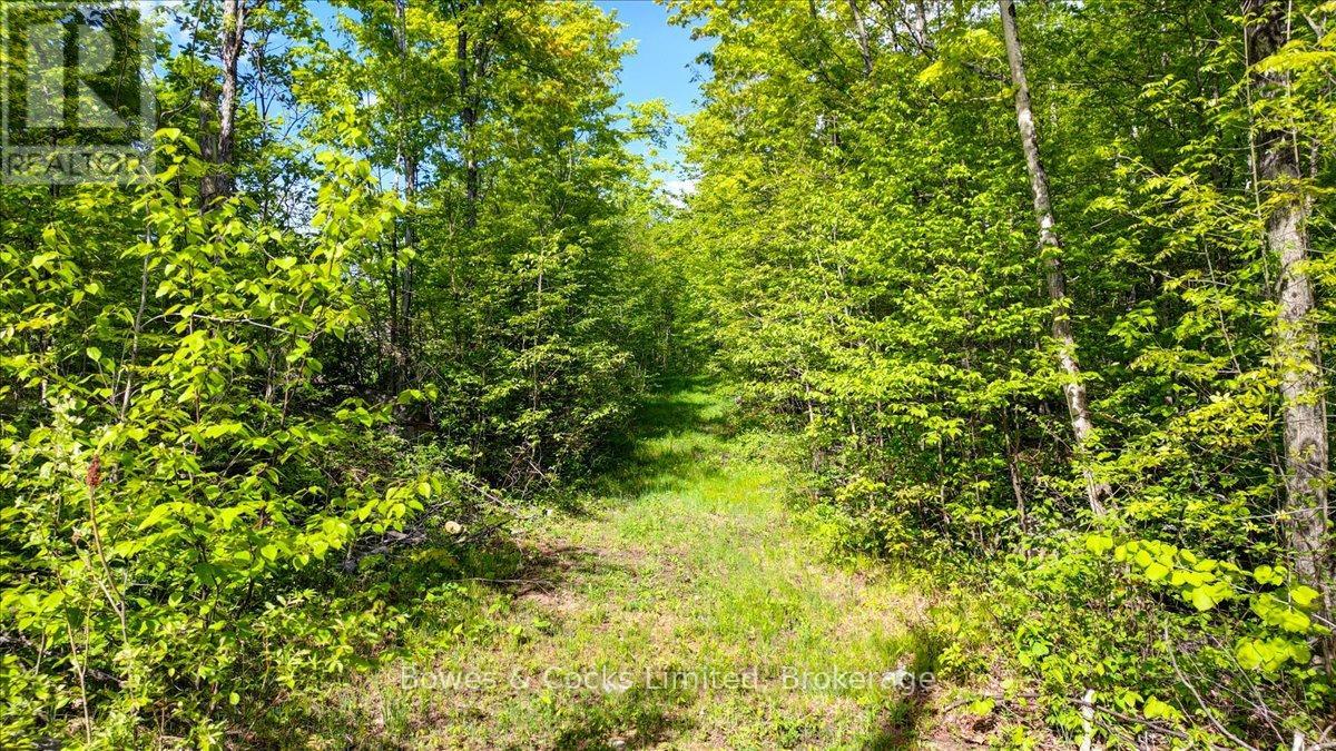 3463 County Road 44, Havelock-Belmont-Methuen (Belmont-Methuen), Ontario  K0L 1Z0 - Photo 3 - X13215344