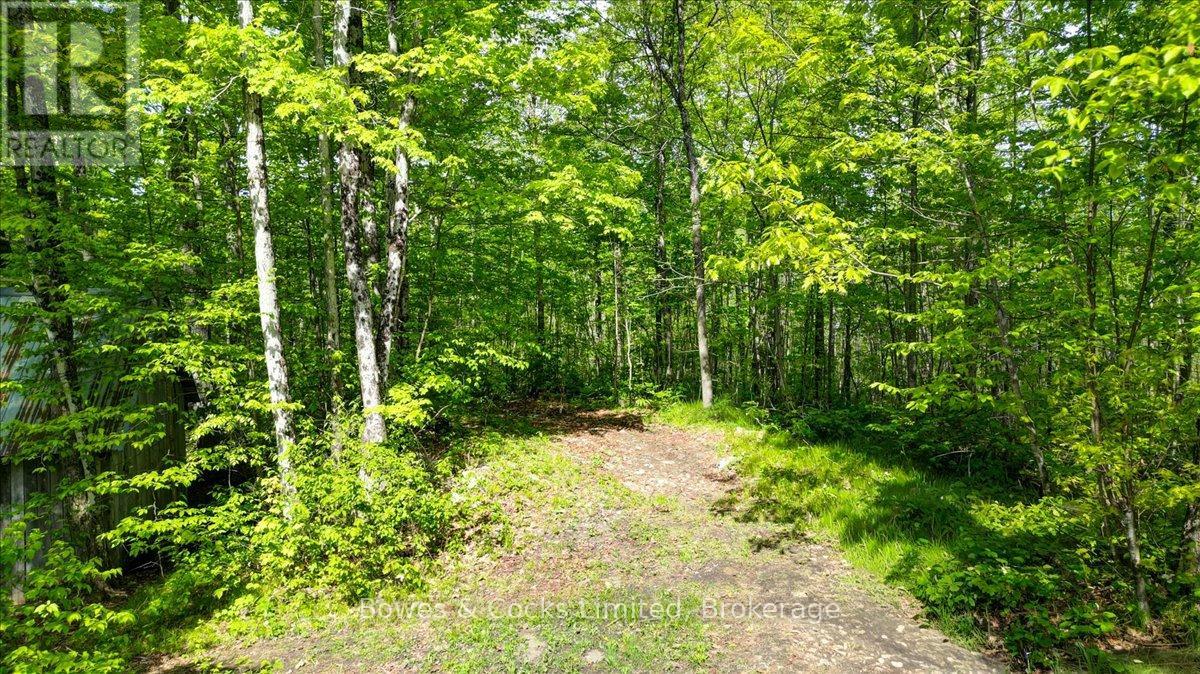 3463 County Road 44, Havelock-Belmont-Methuen (Belmont-Methuen), Ontario  K0L 1Z0 - Photo 37 - X13215344