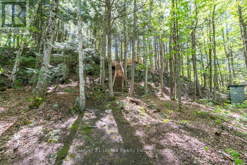 1233 Stinson Drive, Highlands East (Cardiff Ward), Ontario  K0L 1A0 - Photo 35 - X13215964