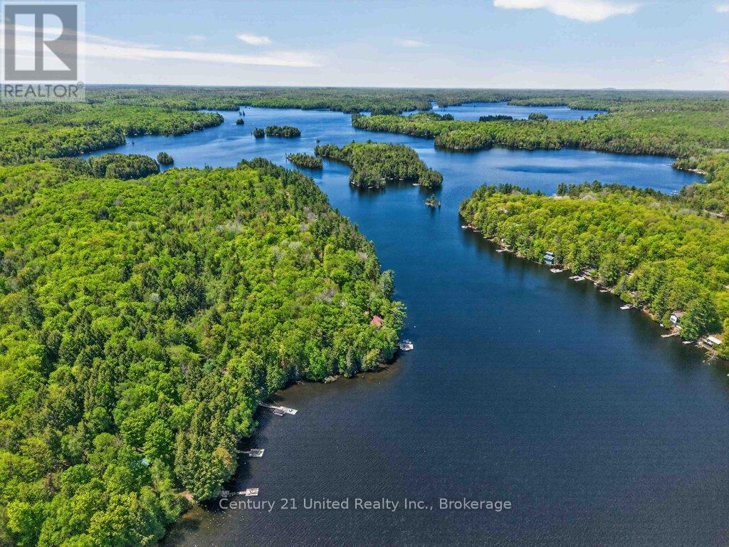1233 Stinson Drive, Highlands East (Cardiff Ward), Ontario  K0L 1A0 - Photo 39 - X13215964
