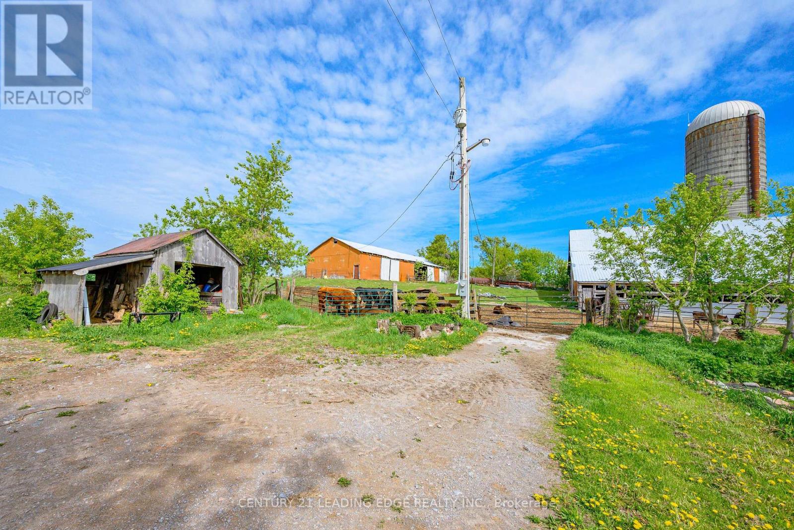 801 Ballyduff Road, Kawartha Lakes (Manvers), Ontario  L0A 1K0 - Photo 39 - X13215570