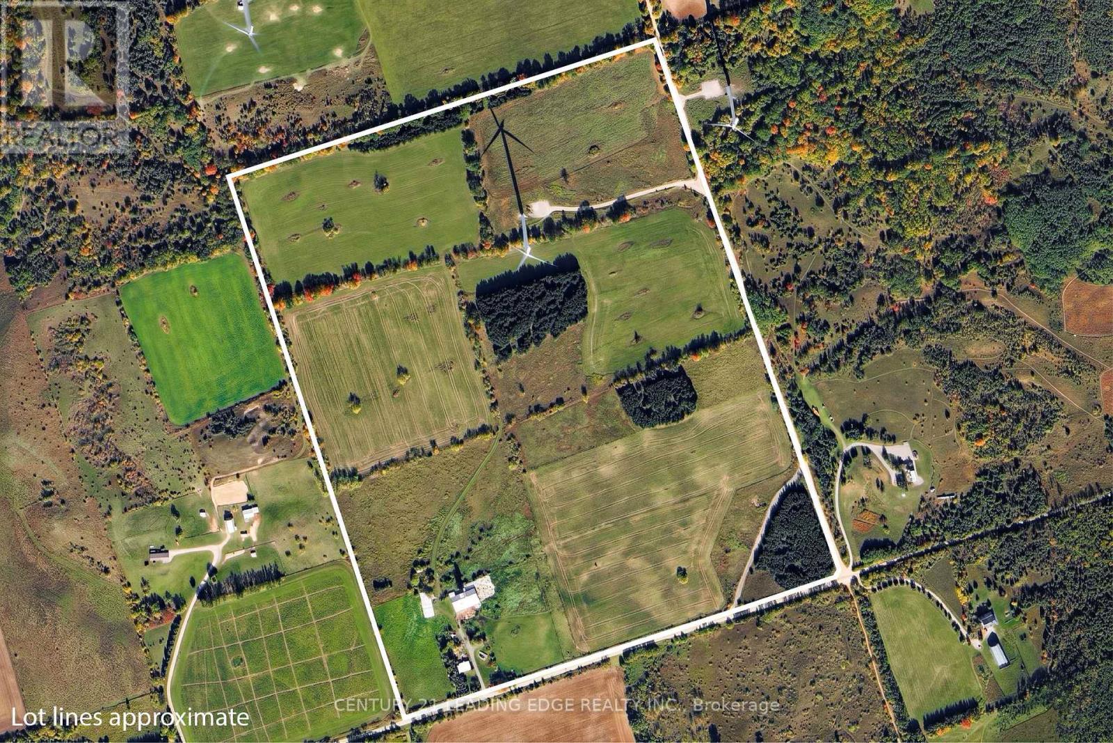 801 Ballyduff Road, Kawartha Lakes (Manvers), Ontario  L0A 1K0 - Photo 4 - X13215570