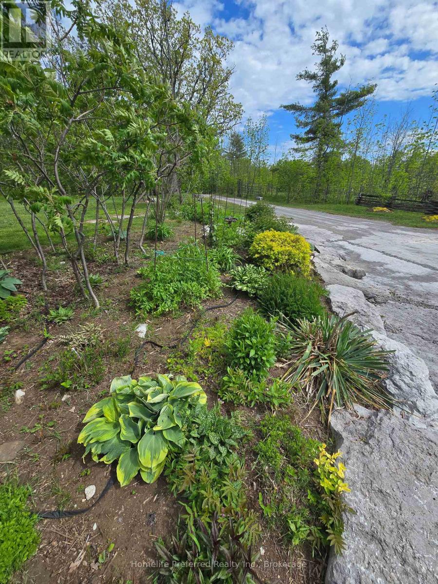 6070 28 Highway, North Kawartha, Ontario  K0L 3E0 - Photo 39 - X13217216