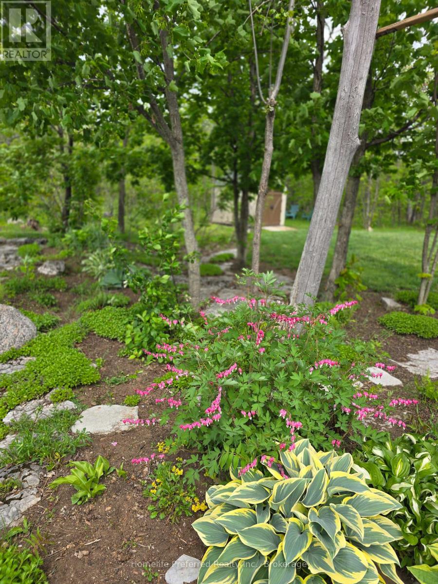 6070 28 Highway, North Kawartha, Ontario  K0L 3E0 - Photo 42 - X13217216