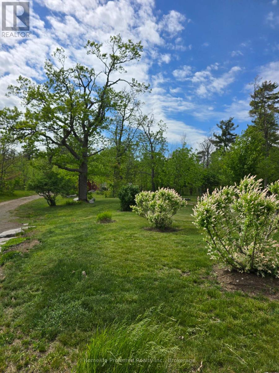 6070 28 Highway, North Kawartha, Ontario  K0L 3E0 - Photo 44 - X13217216