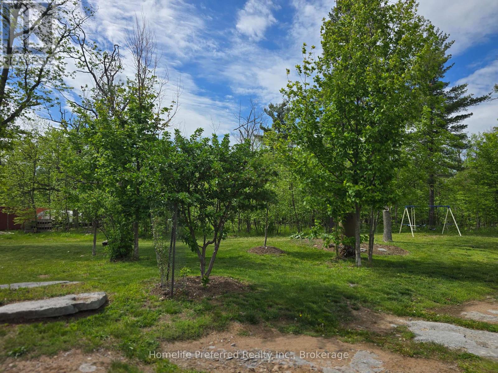 6070 28 Highway, North Kawartha, Ontario  K0L 3E0 - Photo 47 - X13217216