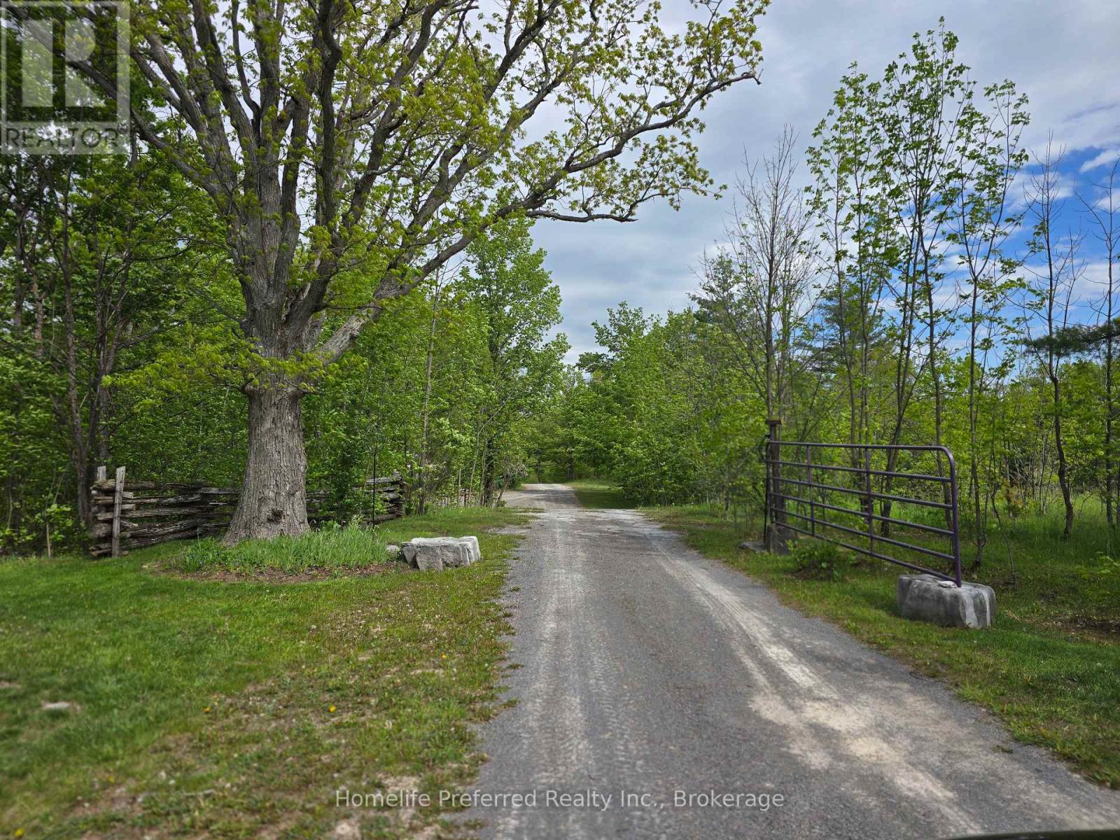 6070 28 Highway, North Kawartha, Ontario  K0L 3E0 - Photo 48 - X13217216