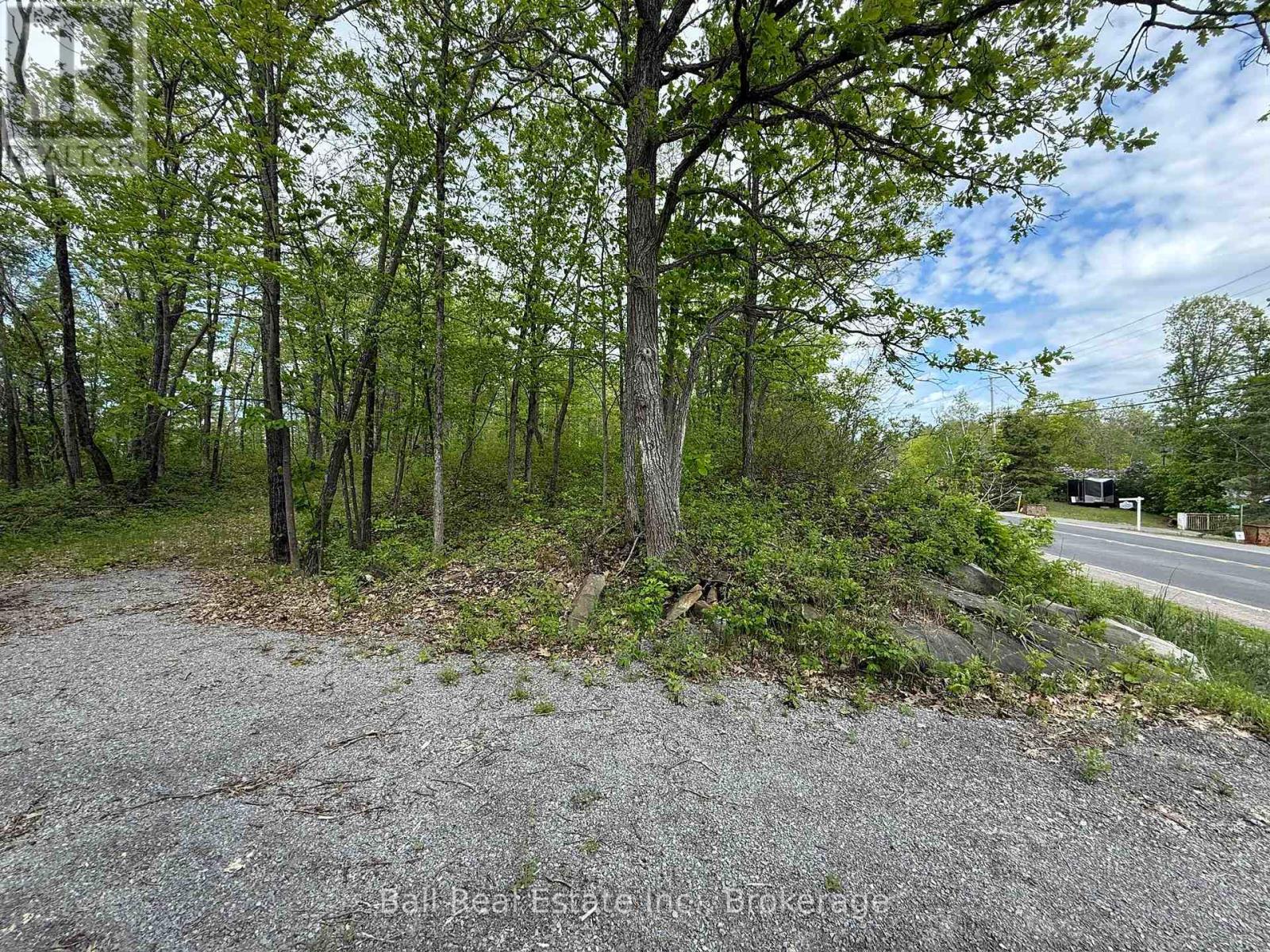 N/a Northey's Bay Road, North Kawartha, Ontario  K0L 2H0 - Photo 10 - X13218294