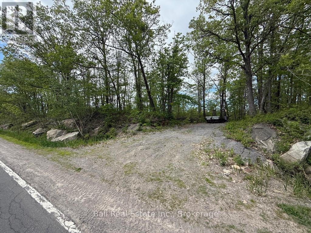 N/a Northey's Bay Road, North Kawartha, Ontario  K0L 2H0 - Photo 11 - X13218294