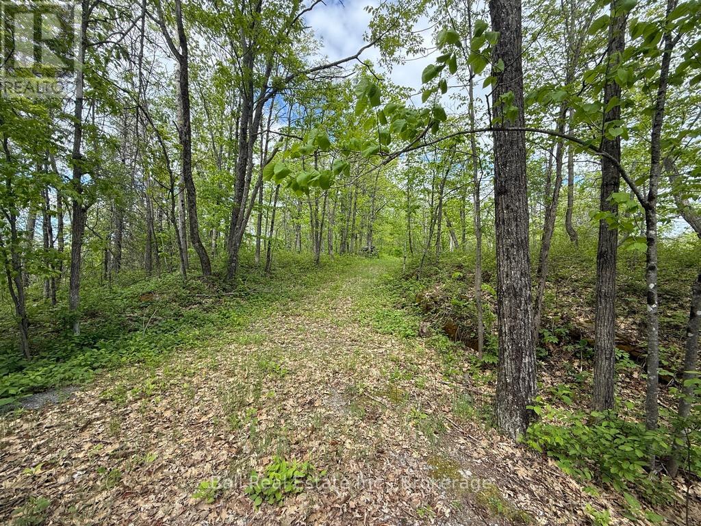 N/a Northey's Bay Road, North Kawartha, Ontario  K0L 2H0 - Photo 4 - X13218294