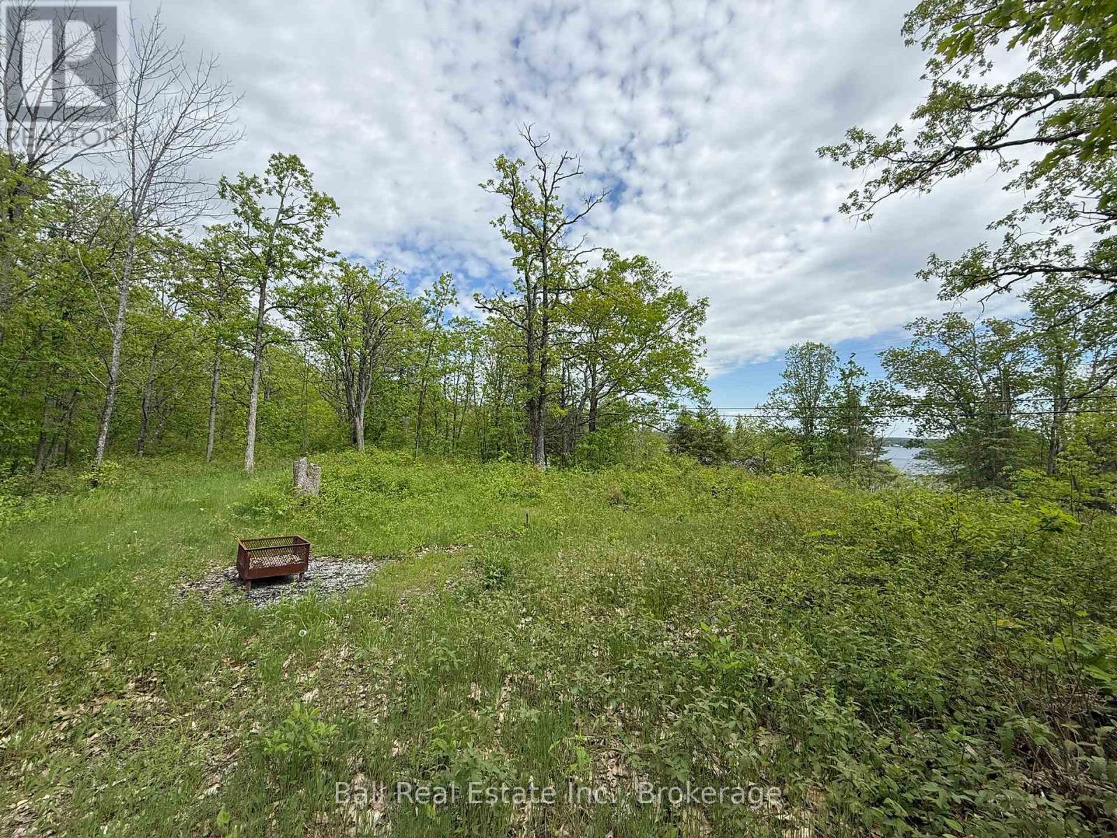 N/a Northey's Bay Road, North Kawartha, Ontario  K0L 2H0 - Photo 7 - X13218294