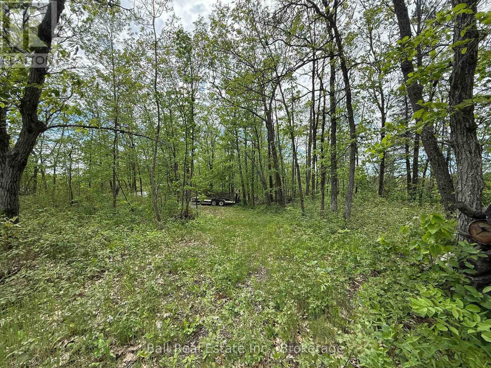 N/a Northey's Bay Road, North Kawartha, Ontario  K0L 2H0 - Photo 8 - X13218294