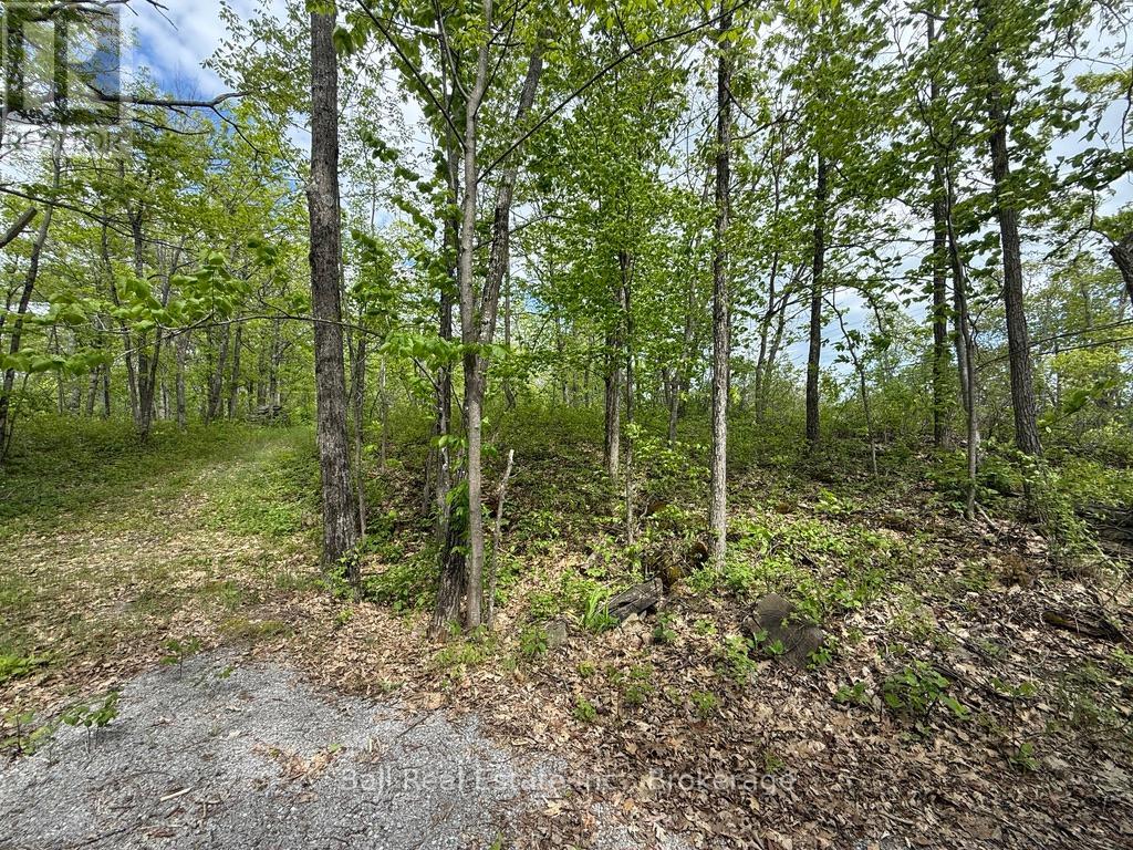 N/a Northey's Bay Road, North Kawartha, Ontario  K0L 2H0 - Photo 9 - X13218294