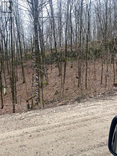 00 Landon Road, Bancroft (Dungannon Ward), Ontario  K0L 1C0 - Photo 2 - X13218480