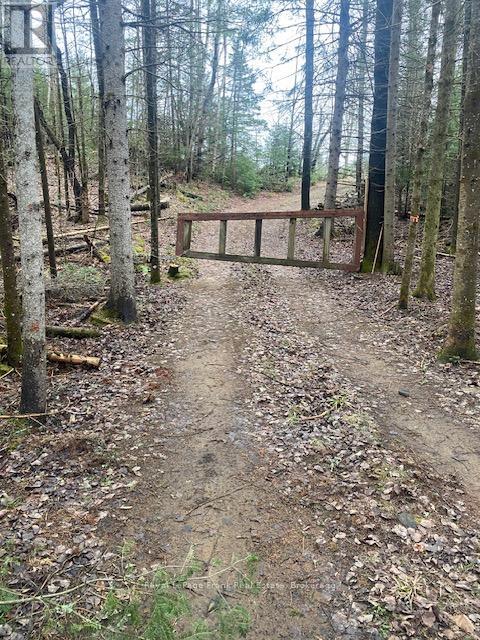 00 Landon Road, Bancroft (Dungannon Ward), Ontario  K0L 1C0 - Photo 3 - X13218480