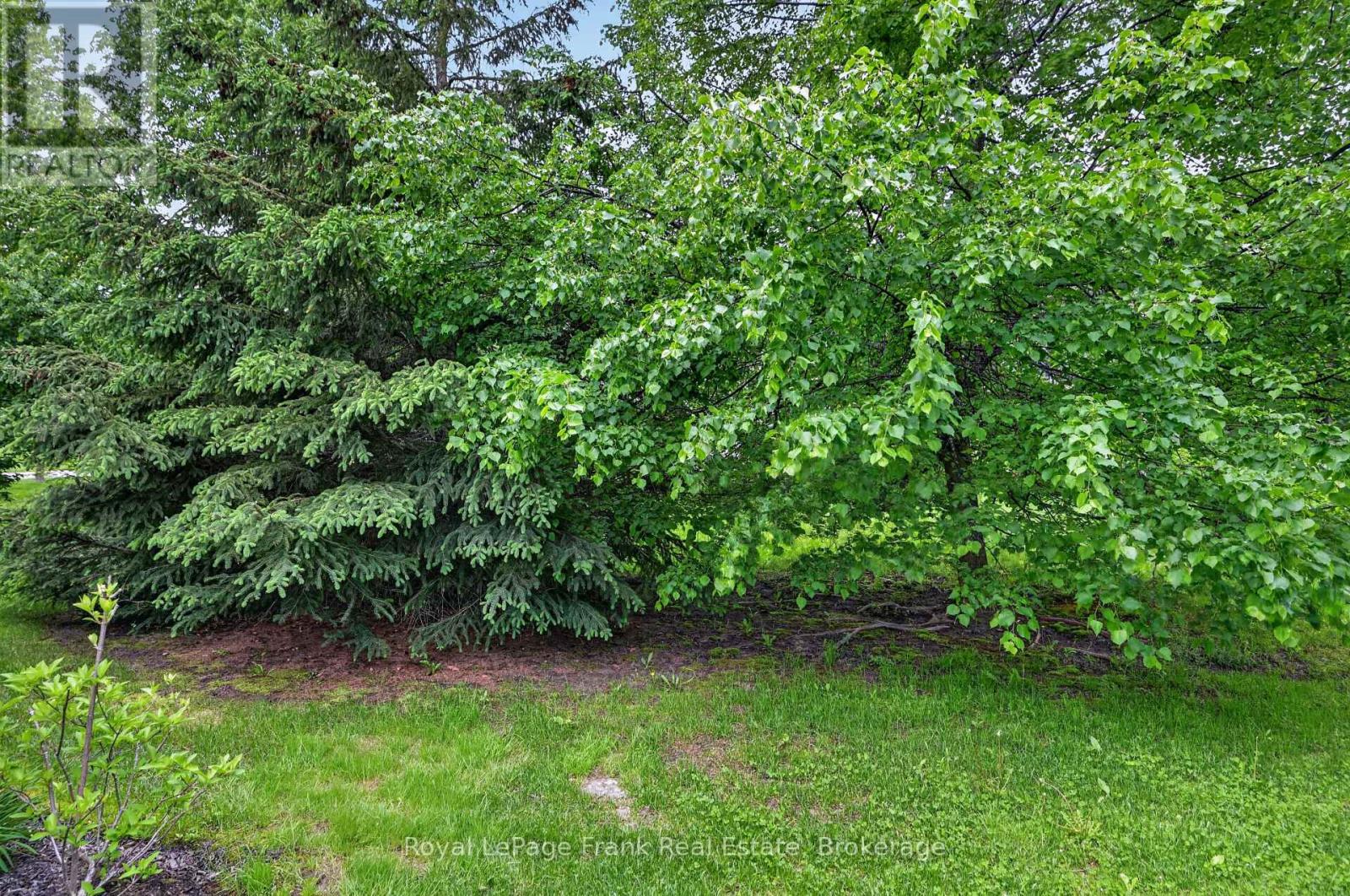 42 - 301 Carnegie Avenue, Peterborough (Northcrest Ward 5), Ontario  K9L 0B3 - Photo 39 - X13220288