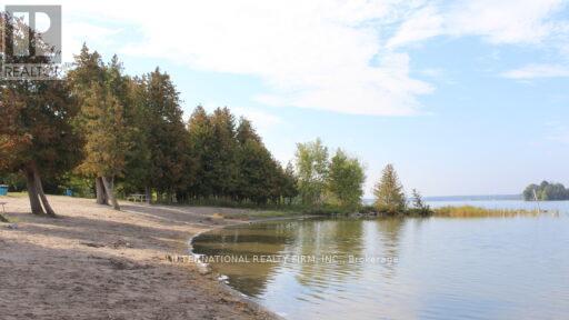 49 Smith Street, Selwyn, Ontario  K0L 2H0 - Photo 6 - X13220176