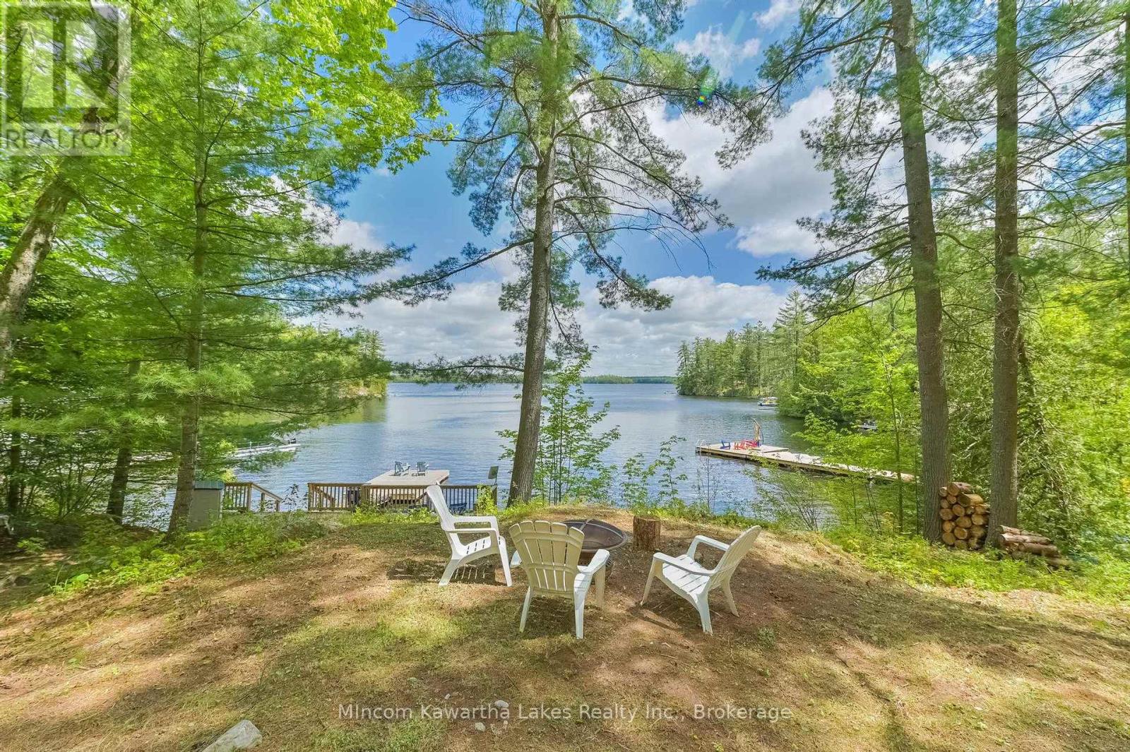 24 Fire Route 172, Trent Lakes, Ontario  K0L 1J0 - Photo 28 - X13220546