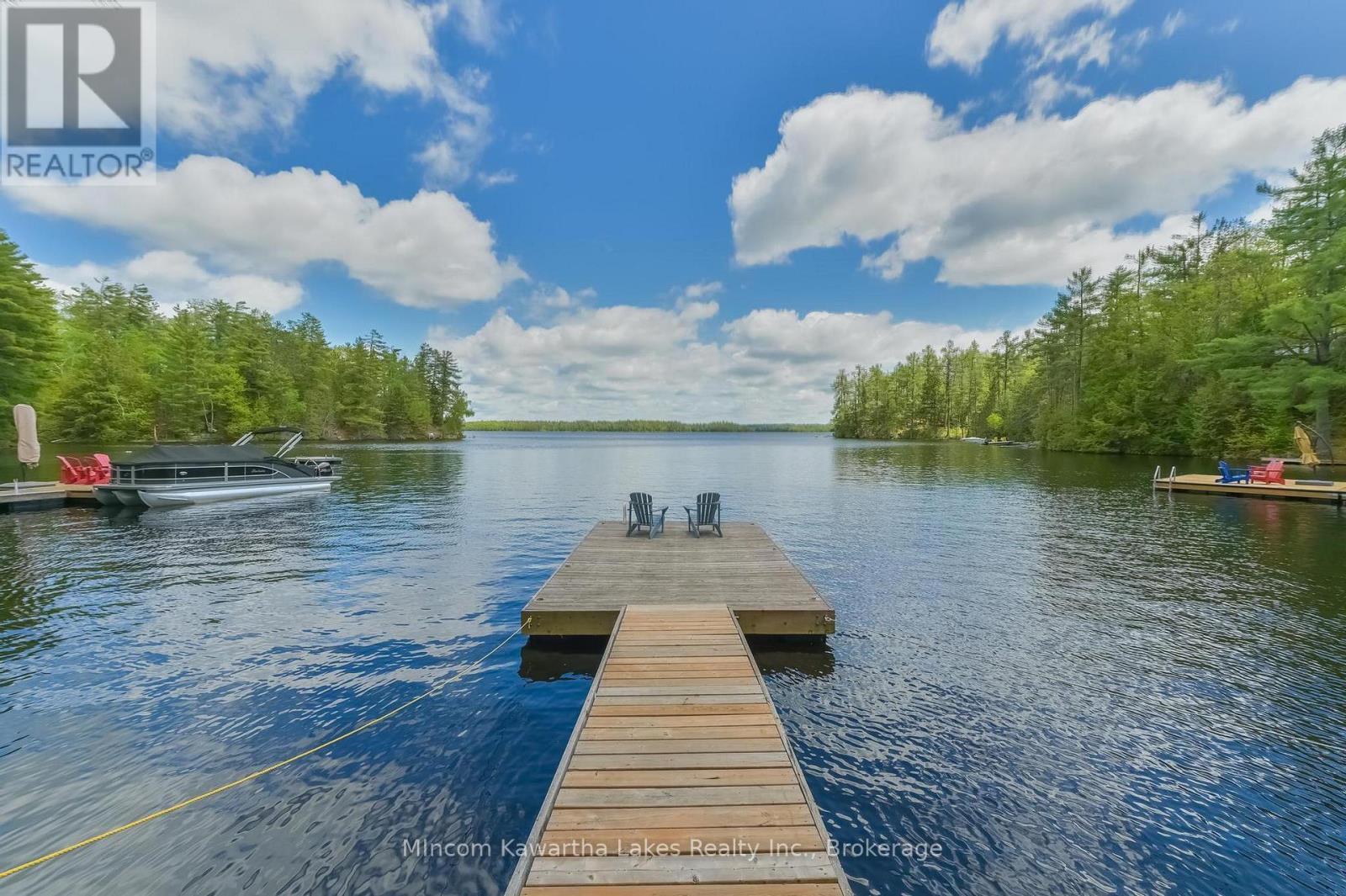24 Fire Route 172, Trent Lakes, Ontario  K0L 1J0 - Photo 31 - X13220546