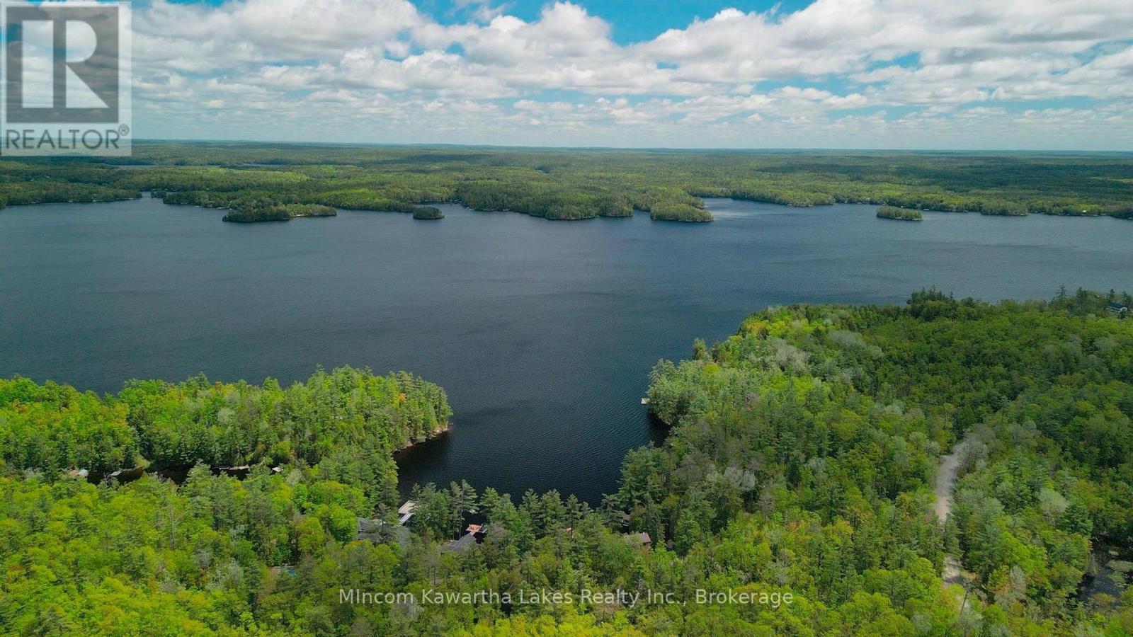 24 Fire Route 172, Trent Lakes, Ontario  K0L 1J0 - Photo 39 - X13220546
